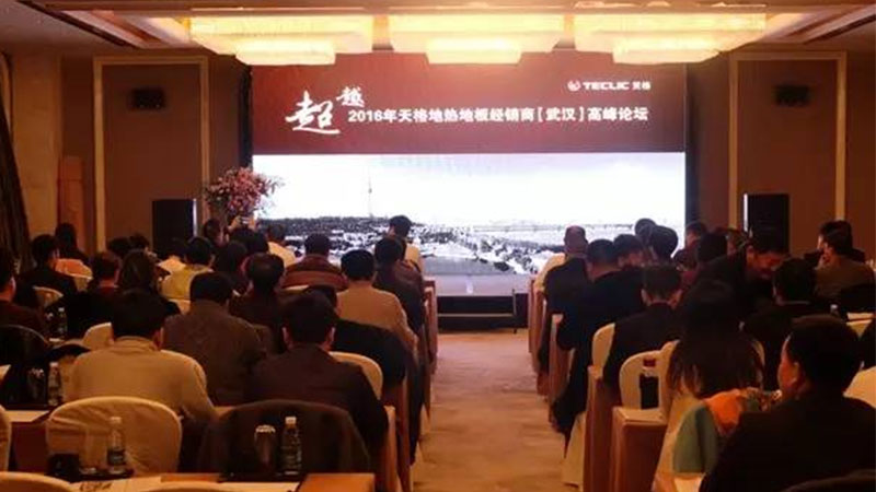 迭代，超越时代的服务：2016天格经销商（武汉）高峰论坛成功召开